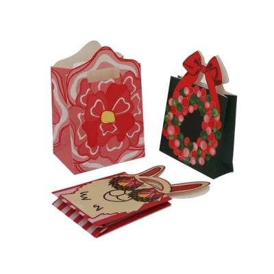 Sacchetto regalo stampato riciclato ecologico personalizzato, sacchetto della spesa, imballaggio cosmetico, sacchetto per imballaggio, sacchetto di carta OEM/ODM